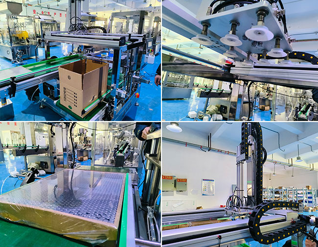 自动化装箱码垛机